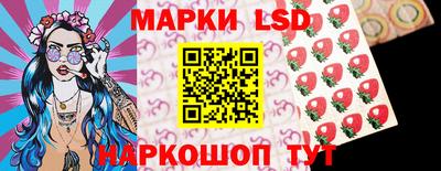 МДПВ Бийск