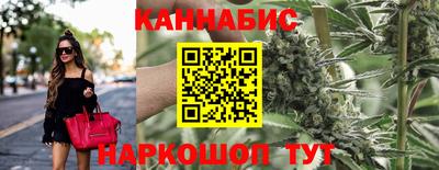 МДПВ Бийск