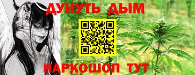 МДПВ Бийск