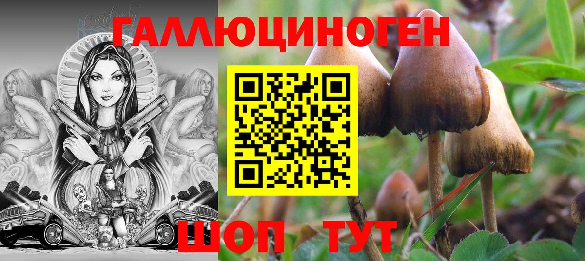 Псилоцибиновые грибы MAGIC MUSHROOMS Киселёвск