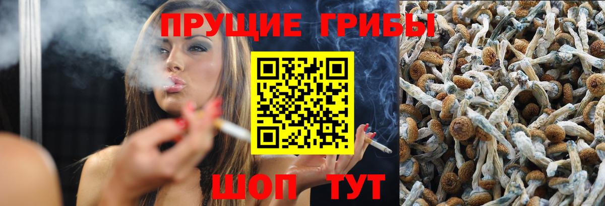 Киселёвск  МДМА  Конопля  Меф МЯУ МЯУ кристаллы  ГАШ  Вход с VPN  COCAIN  ЭКСТАЗИ 