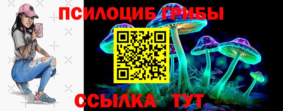 Киселёвск  Псилоцибиновые грибы Psilocybine cubensis  Вход с VPN  Псилоцибиновые грибы GOLDEN TEACHER 