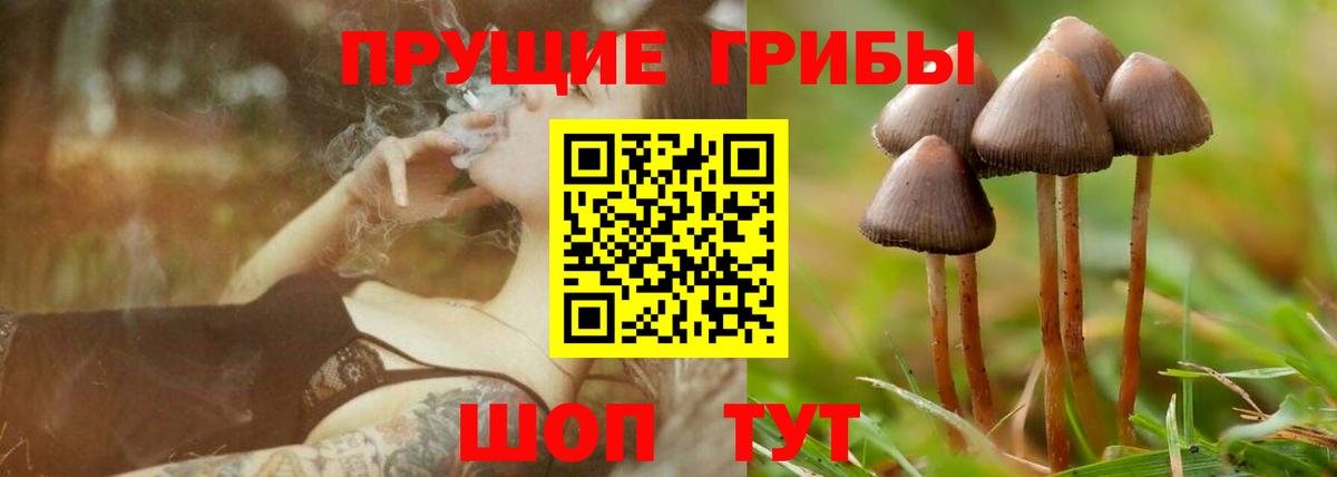 Cocaine Киселёвск