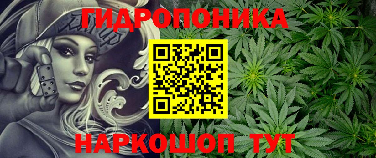 Марихуана планчик  МАРИХУАНА Bruce Banner  Вход с VPN  Шишки марихуана план  Киселёвск  Канабис ГИДРОПОН 